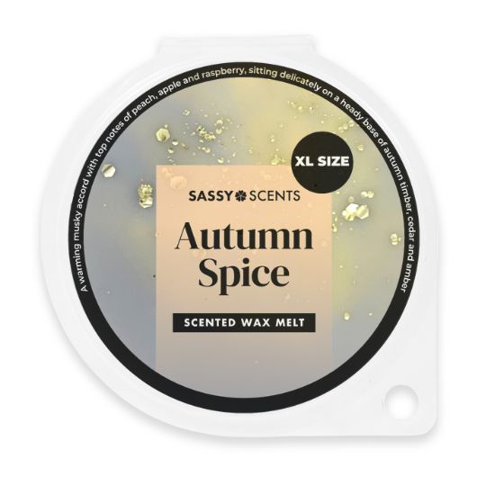 XL Autumn Spice Wax Melt - Sassy Shop Wax