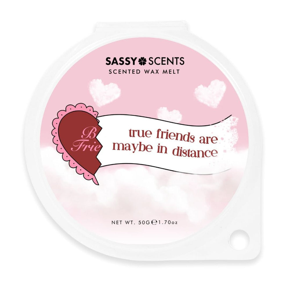 Besties Two Pack of Wax Melts - Sassy Shop Wax