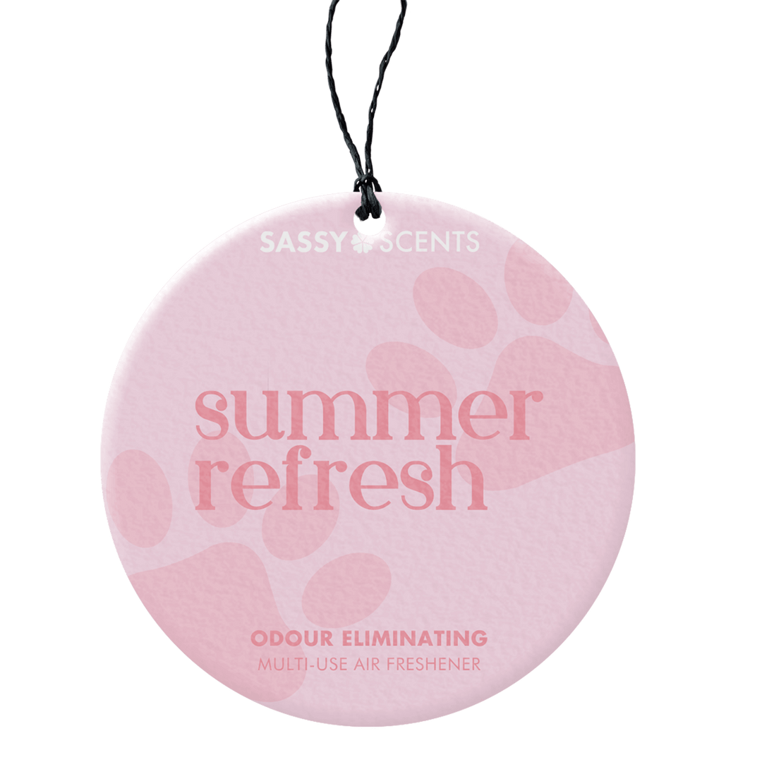 Summer Refresh Odour Eliminating Hanging Car Freshener - Sassy Shop Wax