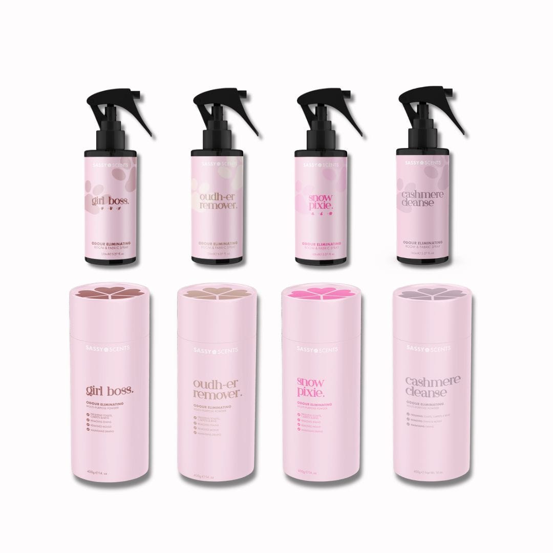 Clean Routine Odour Eliminating Bundle - Sassy Scents