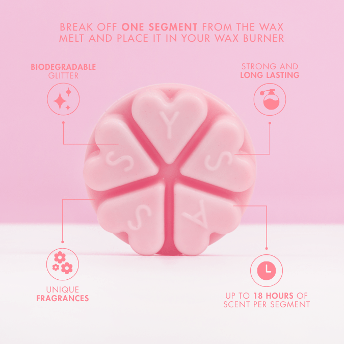 Raspberry Lemonade Wax Melt - Sassy Scents