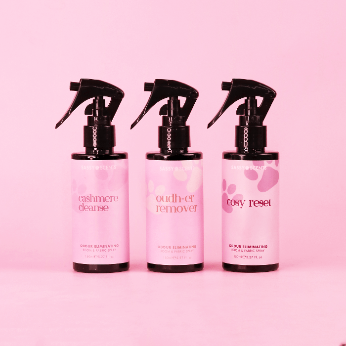 Winter Odour Eliminating Essentials - Sassy Scents