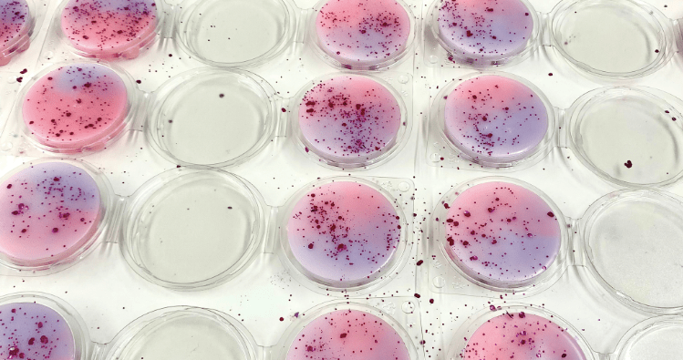 The Ultimate Guide to Making Wax Melts - Sassy Scents