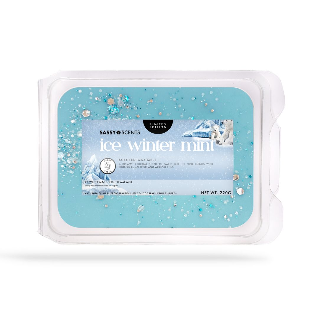 Ice Winter Mint Small Tub - Sassy Shop Wax