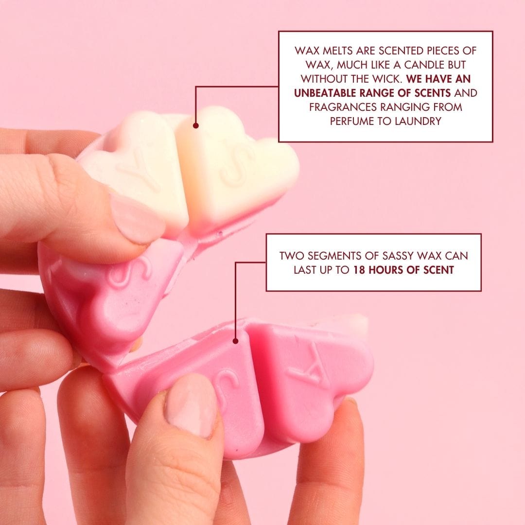 Everything We Love - Feeling Wax Melt Trio - Sassy Shop Wax