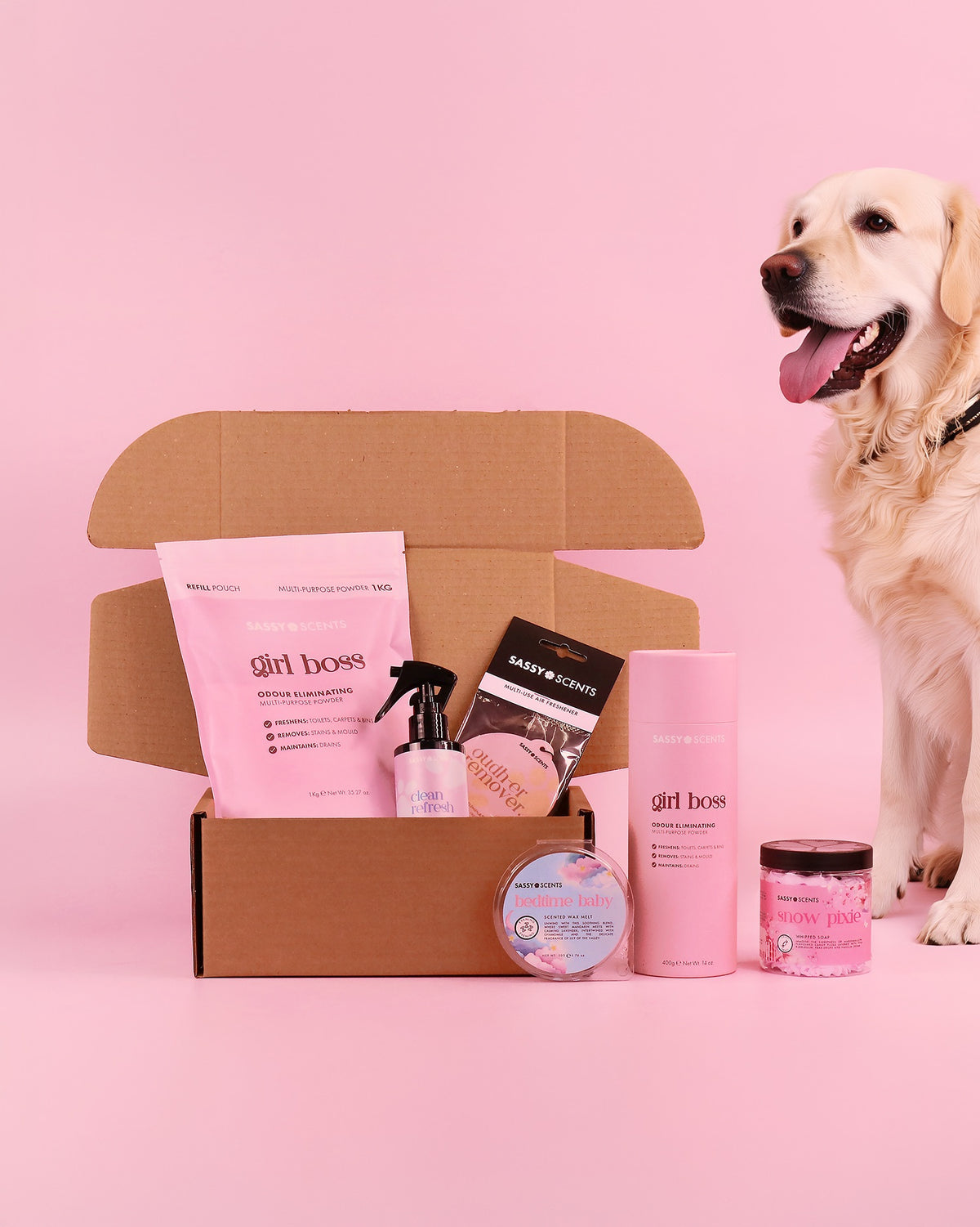 Your house smells like dog. Let's fix it.