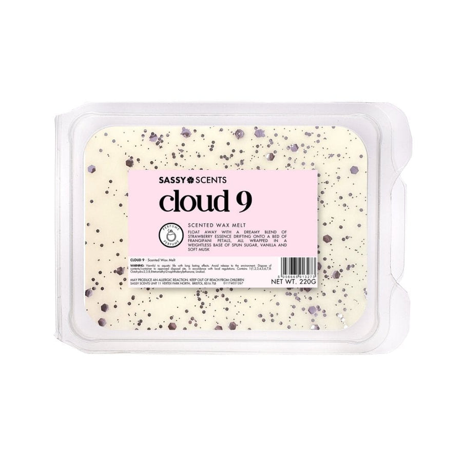 Cloud 9 Small Tub - Sassy Shop Wax