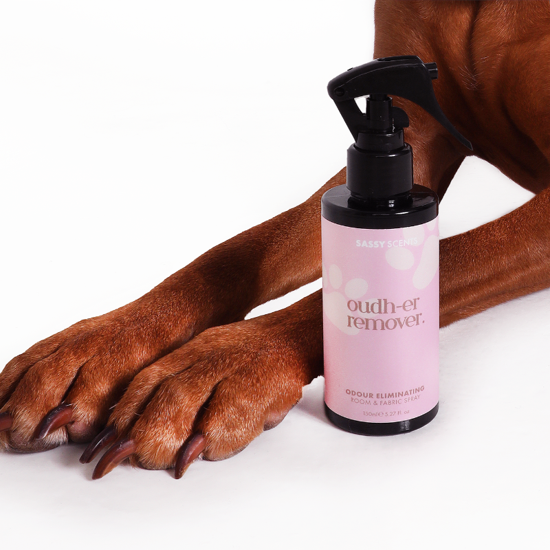 Dog Paw with Oudher Remover Spray