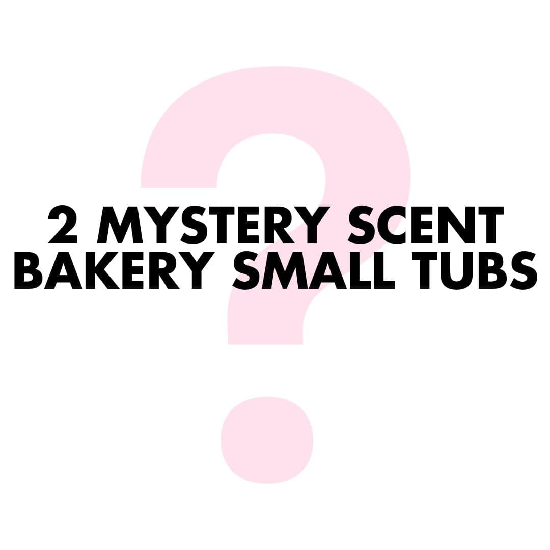 Scents-To-Go Small Tub Duo - Sassy Shop Wax