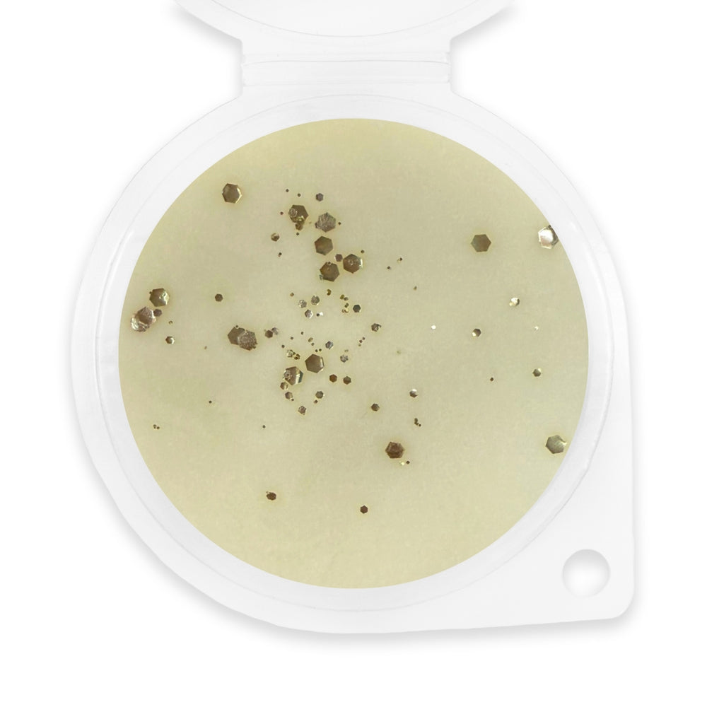 Golden Shine Wax Melt - Sassy Shop Wax