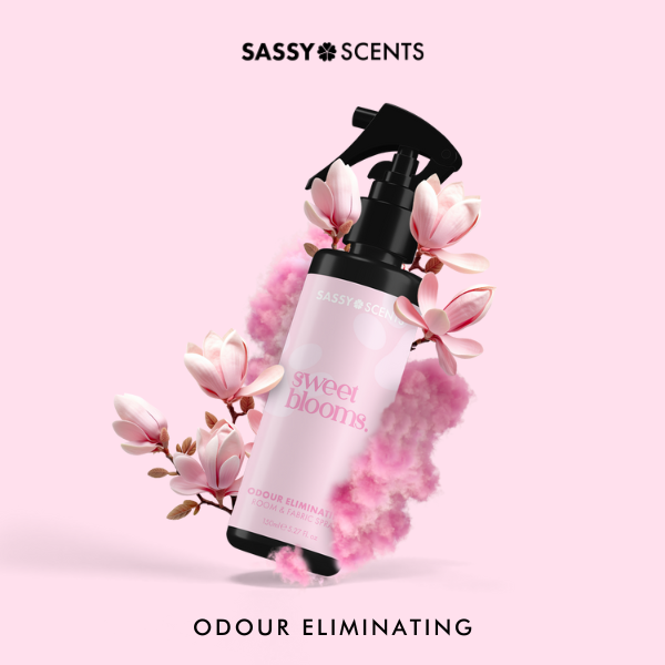 Odour Eliminating Home Comfort Collection - Sassy Shop Wax