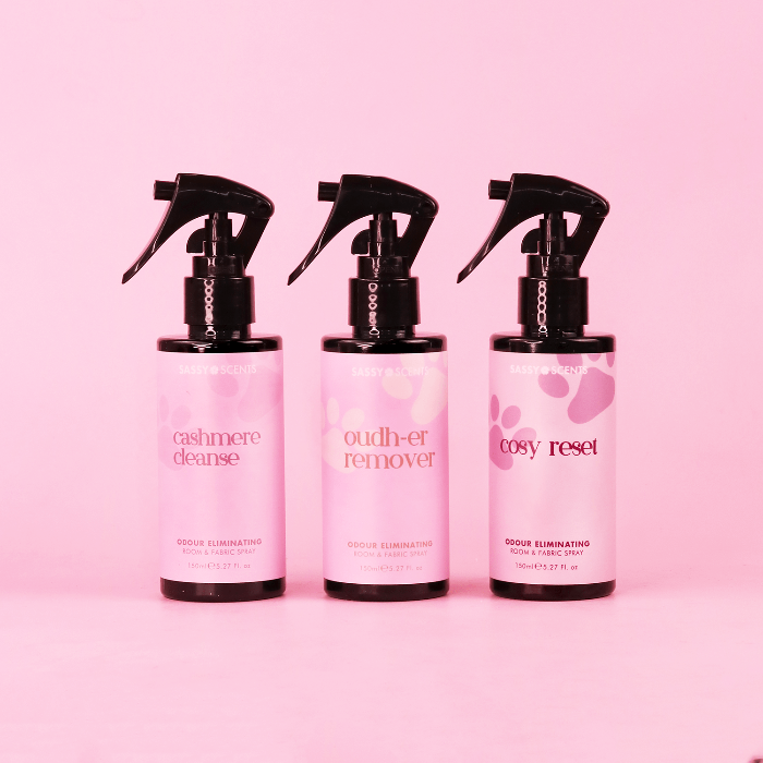 Winter Odour Eliminating Essentials - Sassy Shop Wax