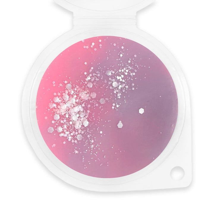 Frosted Wonderland Wax Melt - Sassy Shop Wax