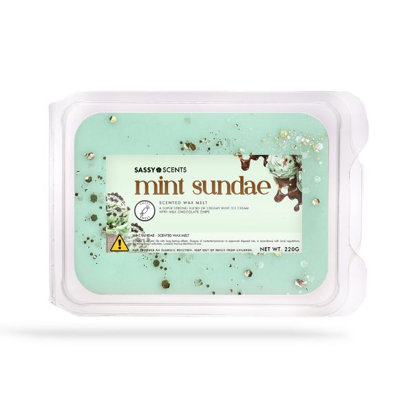 Mint Sundae Small Tub - Sassy Shop Wax