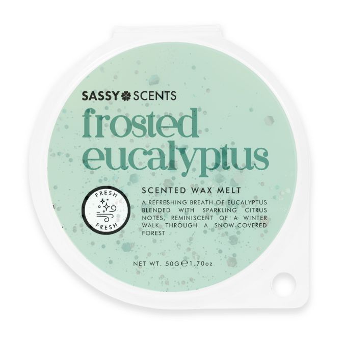 Frosted Eucalyptus Wax Melt - Sassy Shop Wax