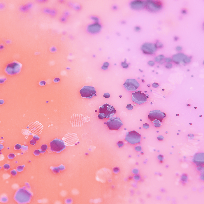Snow Pixie Wax Melt