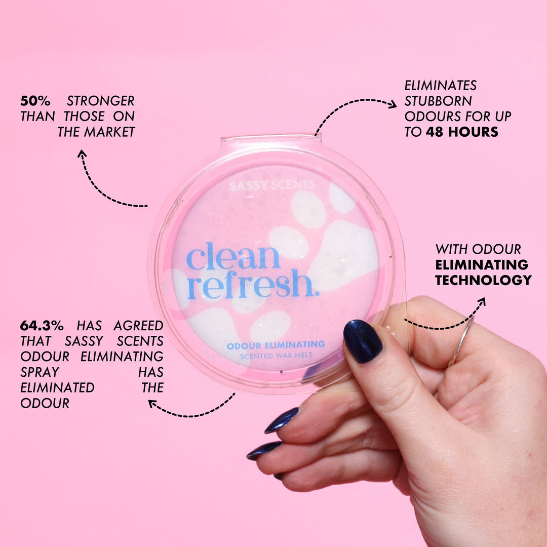 Clean Refresh Odour Eliminating Wax Melt - Sassy Scents