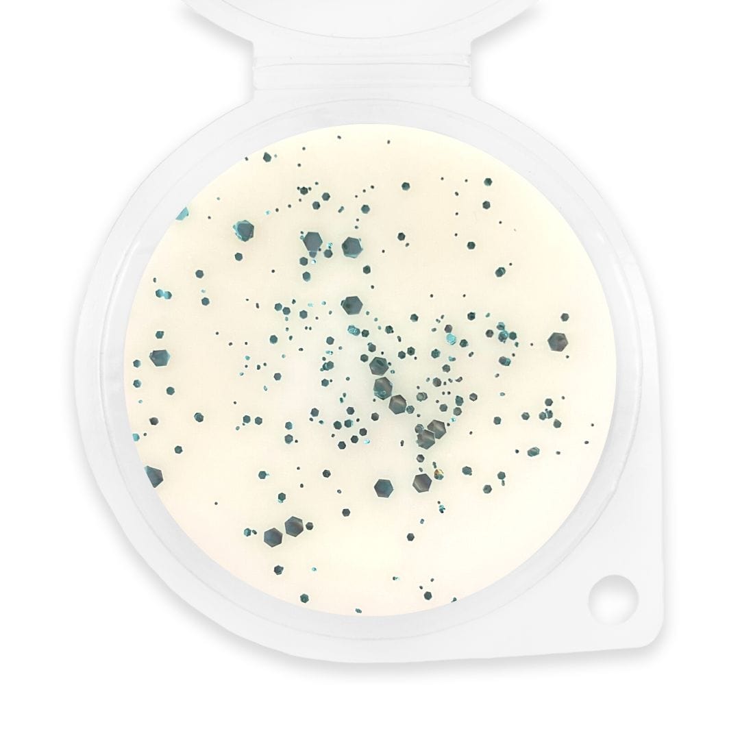 Coconut Sunshine Wax Melt - Sassy Scents