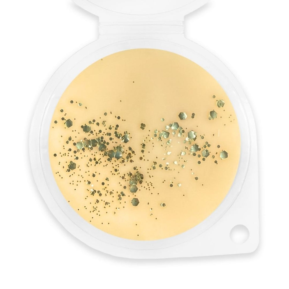 Dark Intrigue Wax Melt - Sassy Scents