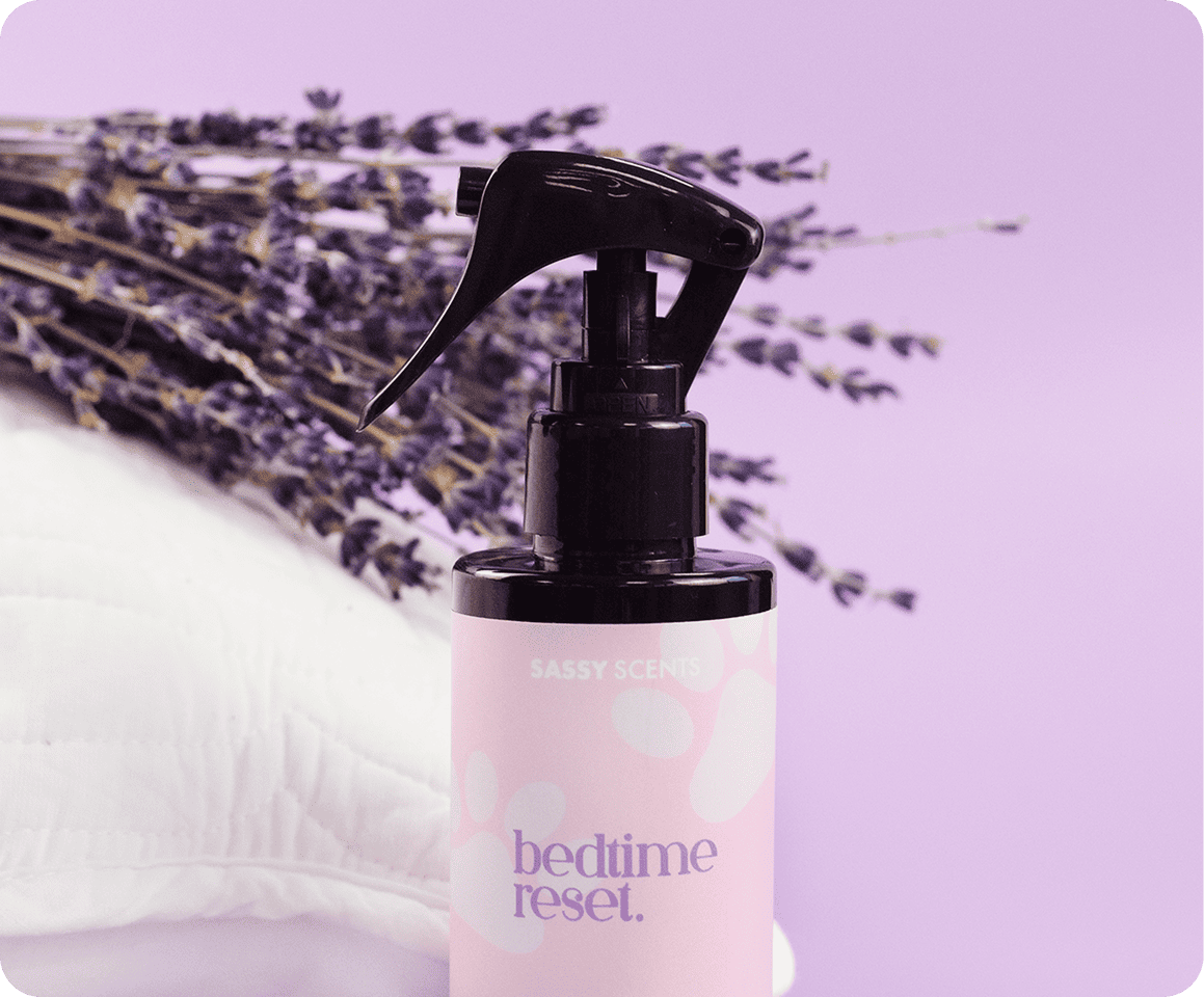 Vegan, Cruelty-Free &  <br> Made in the UK