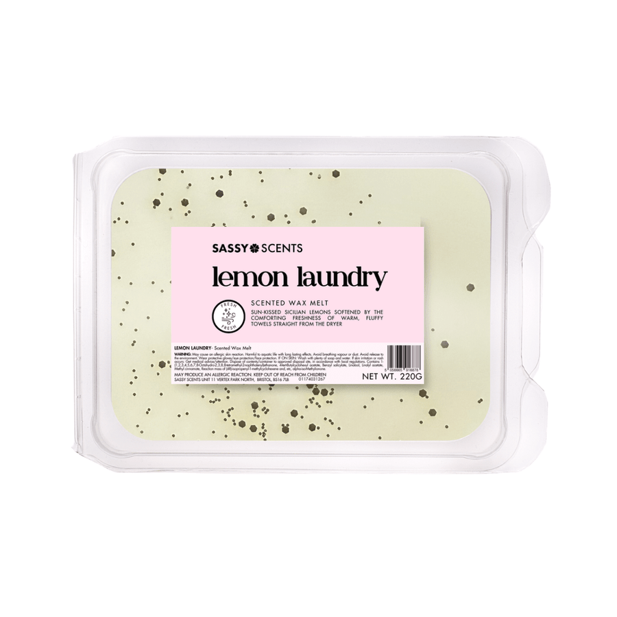 Lemon Laundry Small Tub