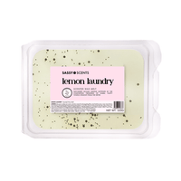 Lemon Laundry Small Tub