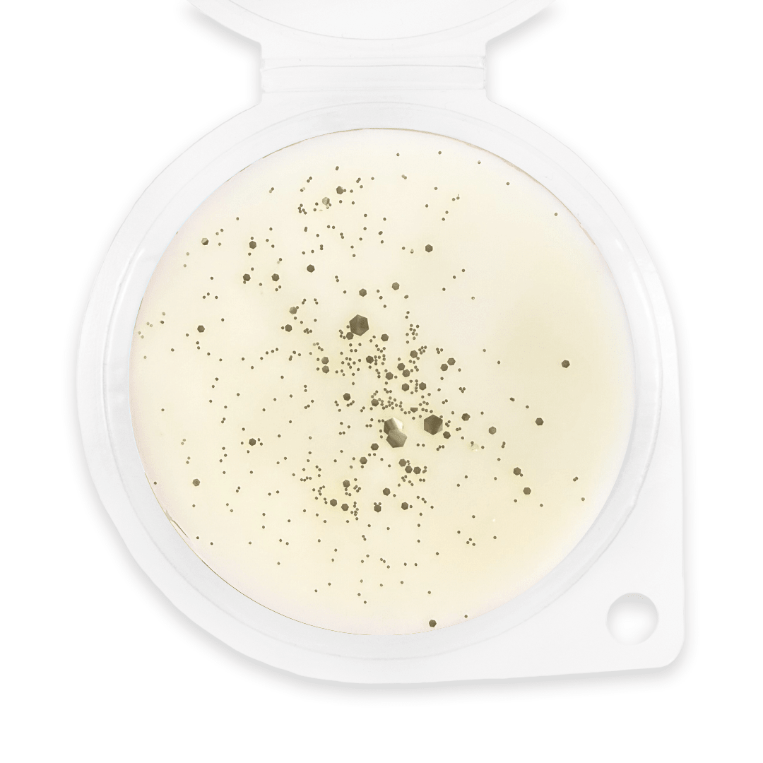 Lemon Laundry Wax Melt - Sassy Scents