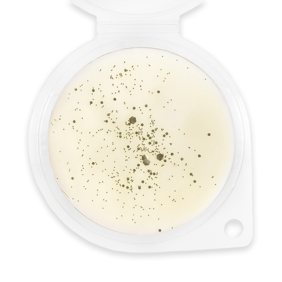 Lemon Laundry Wax Melt