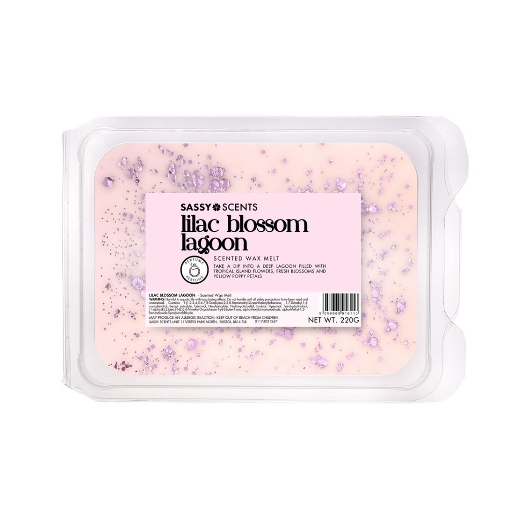 Lilac Blossom Lagoon Small Tub - Sassy Scents