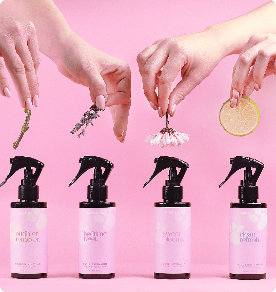 Luxury Image Desktop