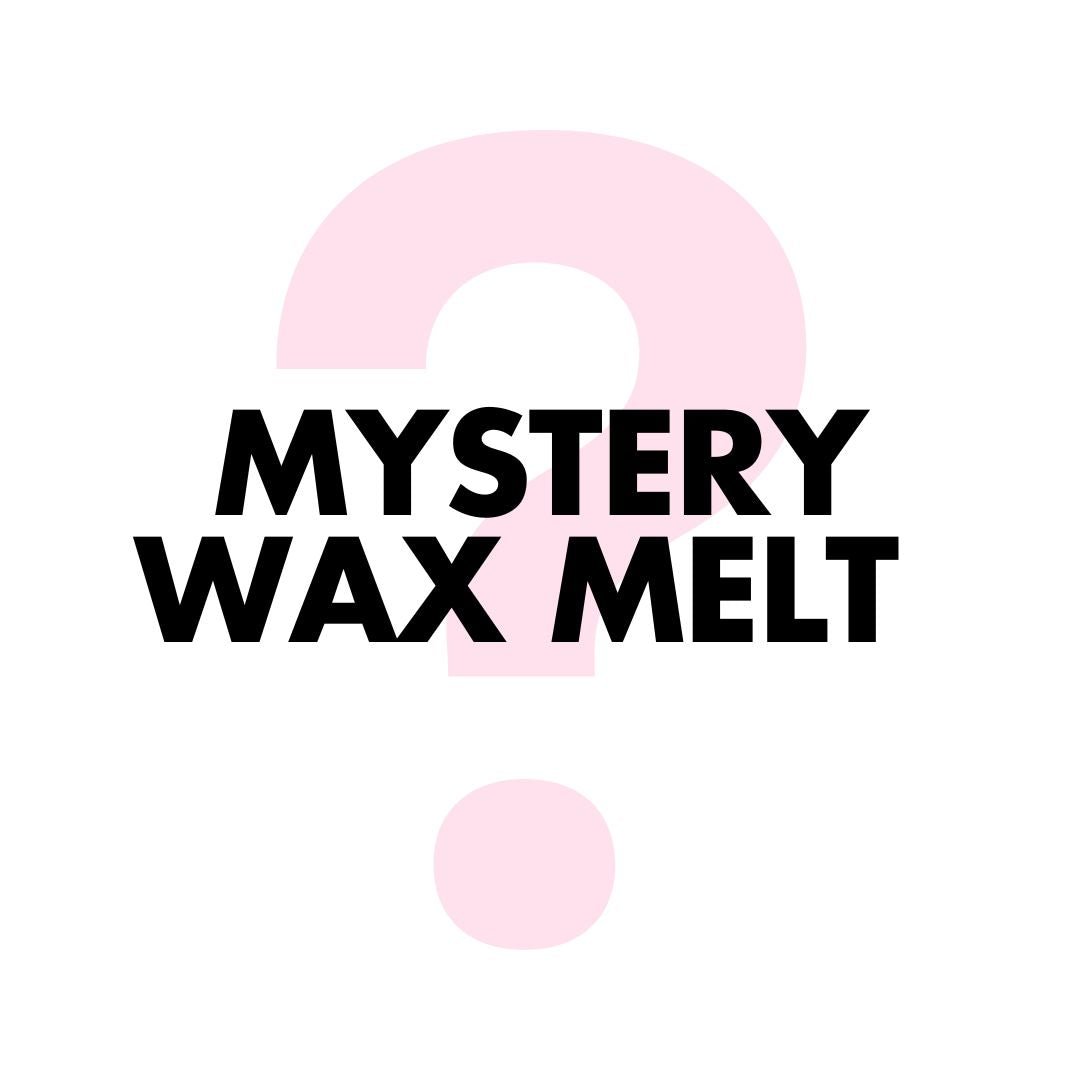 Mystery Wax Melt - 1 Wax Melt - Sassy Scents