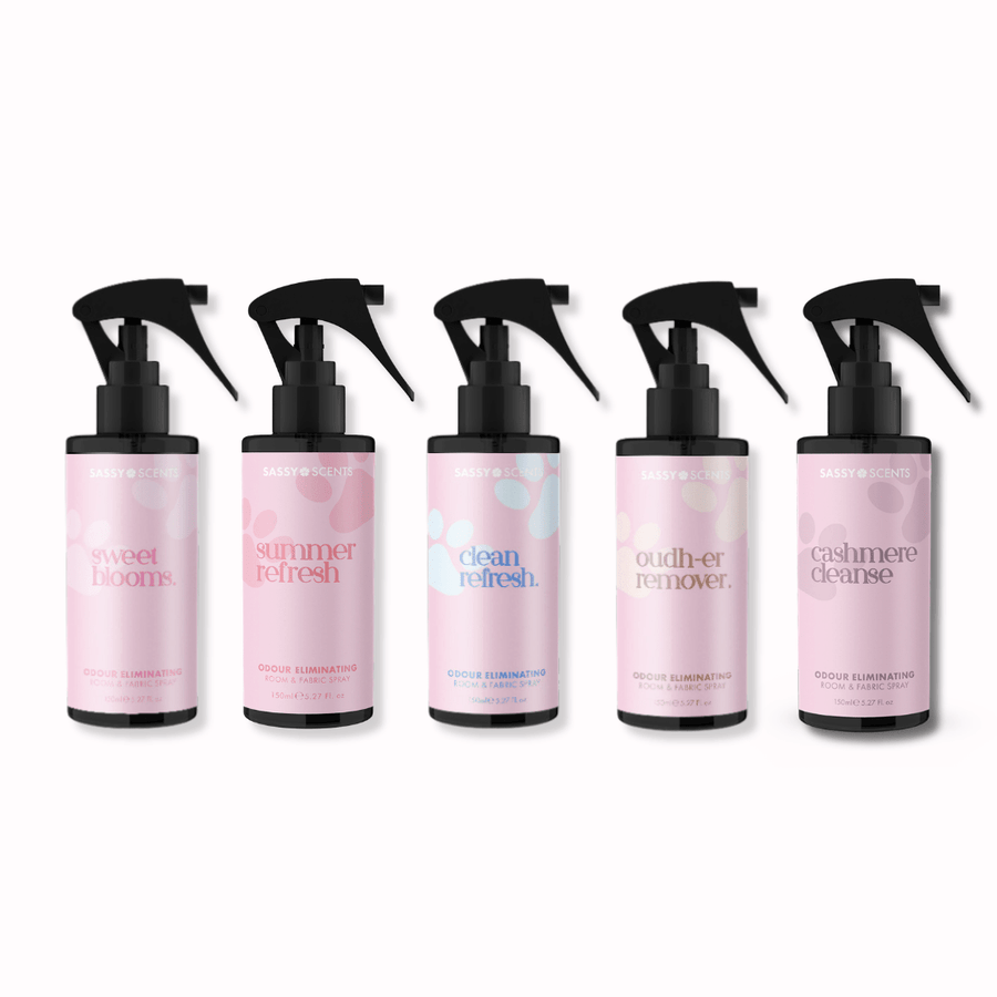 Odour Eliminating Spray Starter Pack