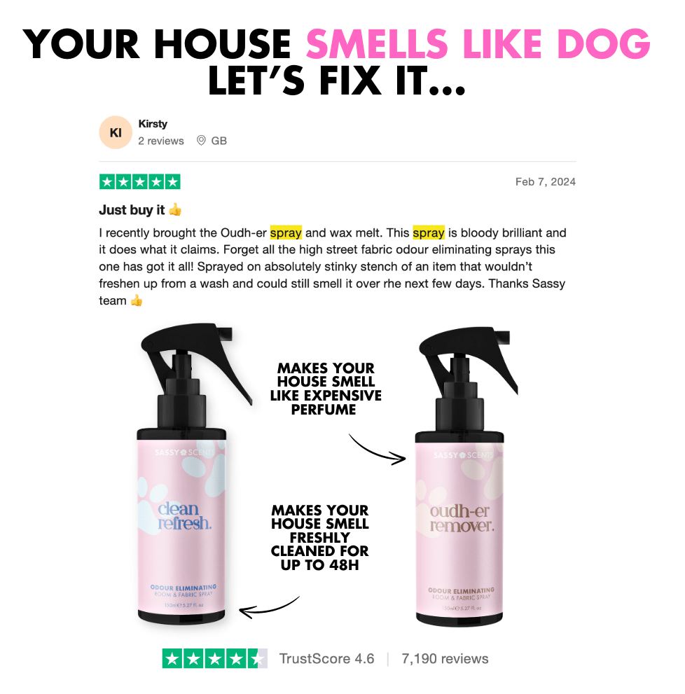 Odour Eliminating Starter Pack - Sassy Scents