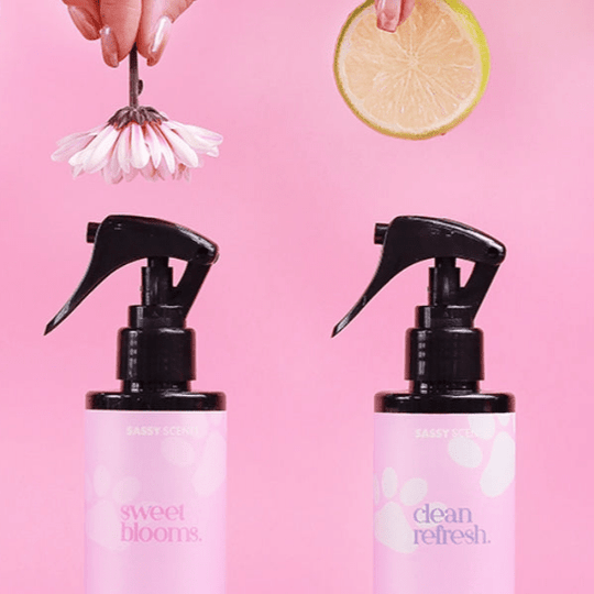 Love Your Dog, Not the Smell Eliminate Odour for 12 Months Sassy Scents