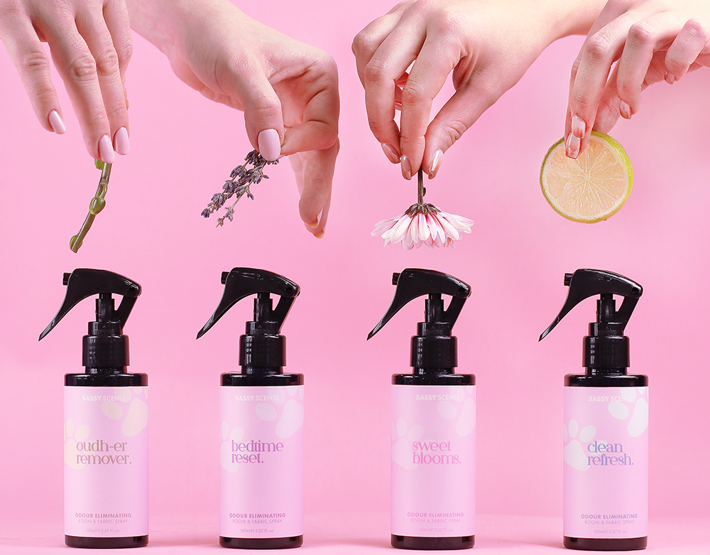 Your house smells like dog. Let's fix it.