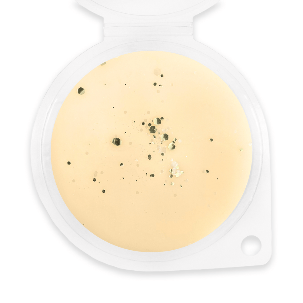 Saltwater Dreams Wax Melt - Sassy Scents