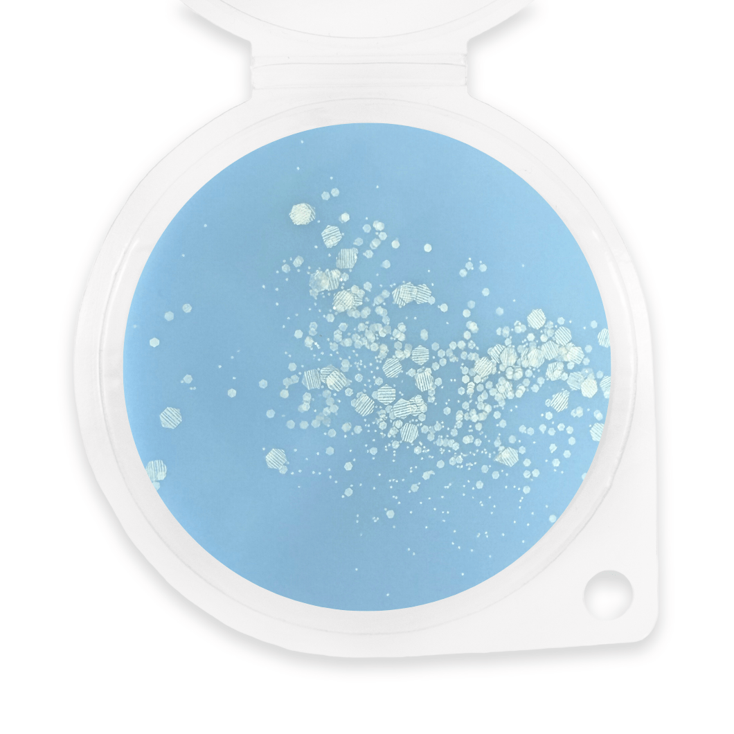 Sassy Alpha Wax Melt - Sassy Scents