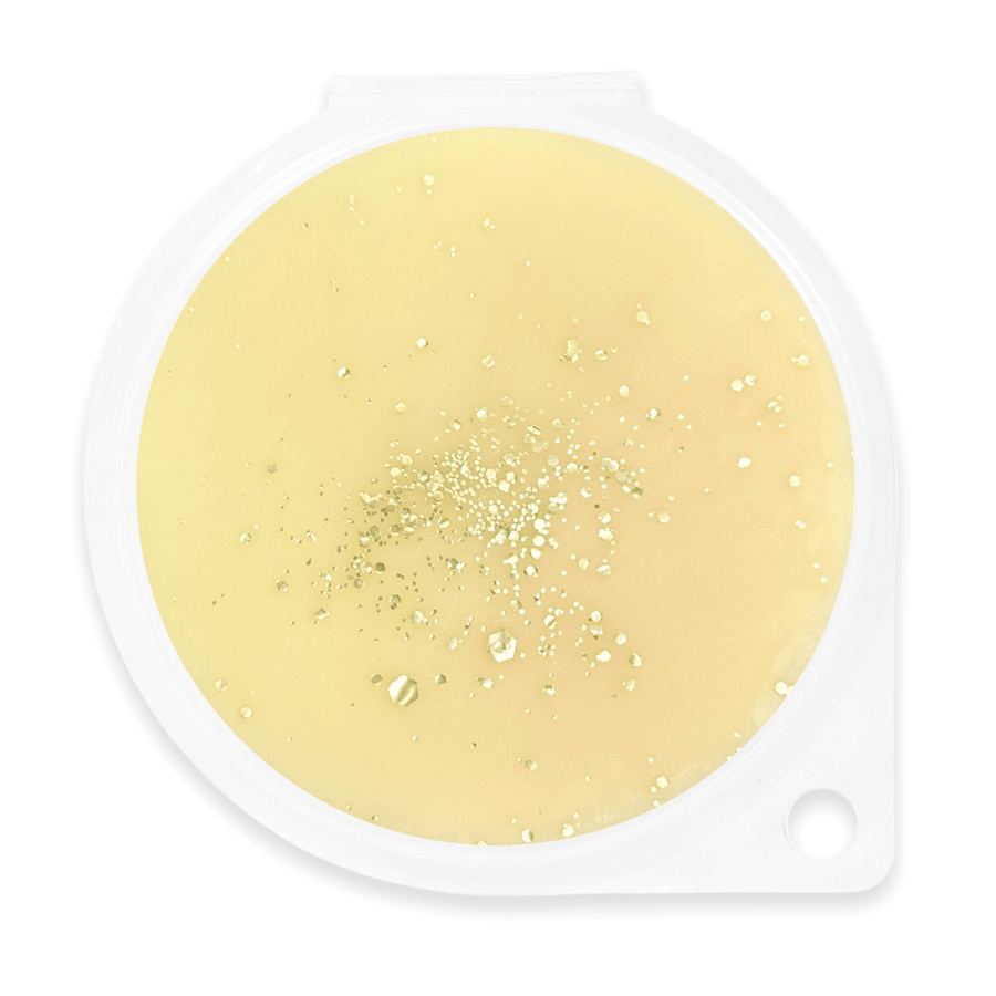 Sugar Mix Wax Melt