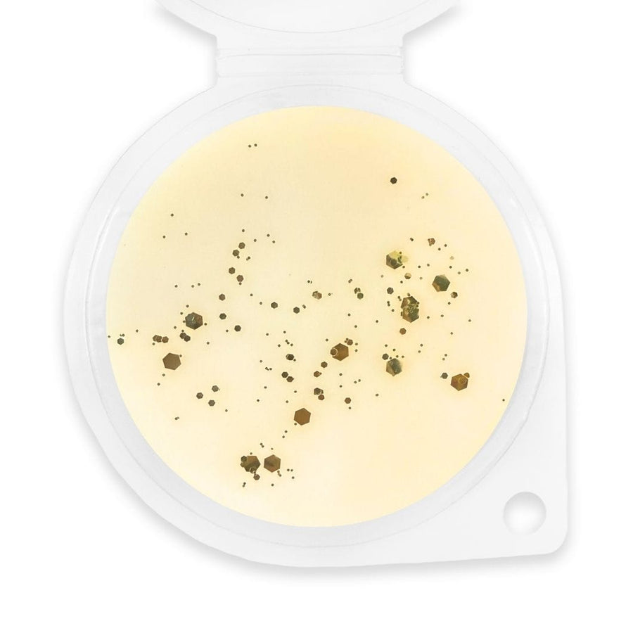 Sunset Lemonade Wax Melt