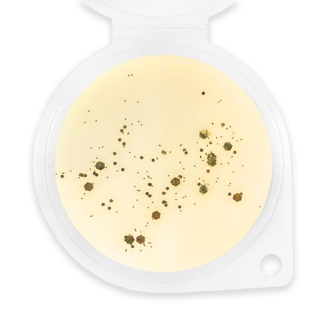 Sunset Lemonade Wax Melt