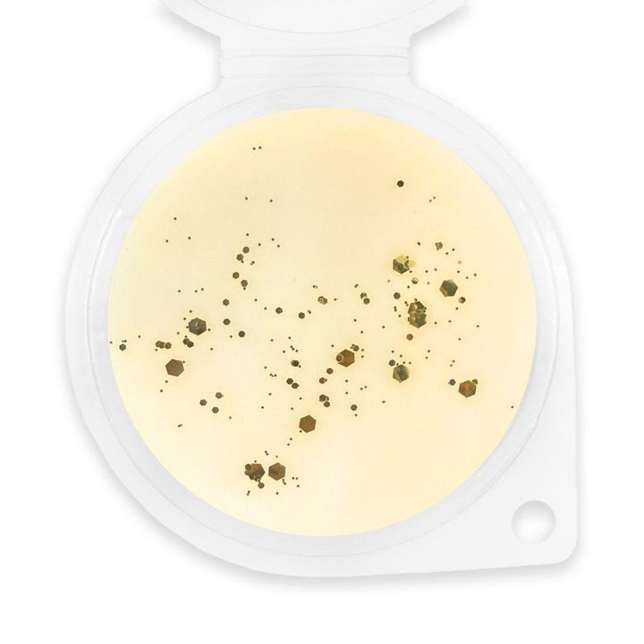 Sunset Lemonade Wax Melt