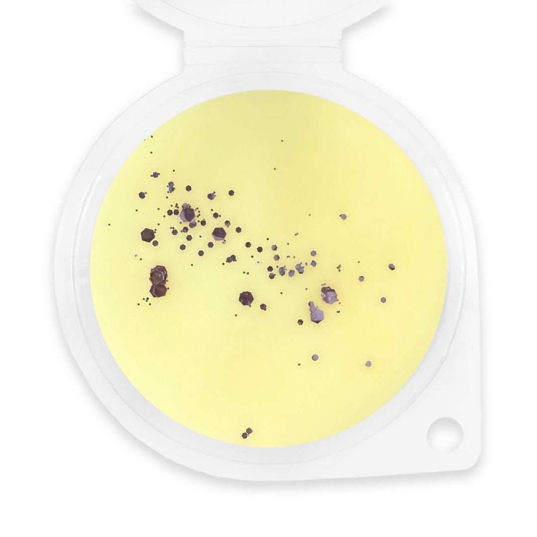 Sweet Nostalgia Wax Melt - Sassy Scents