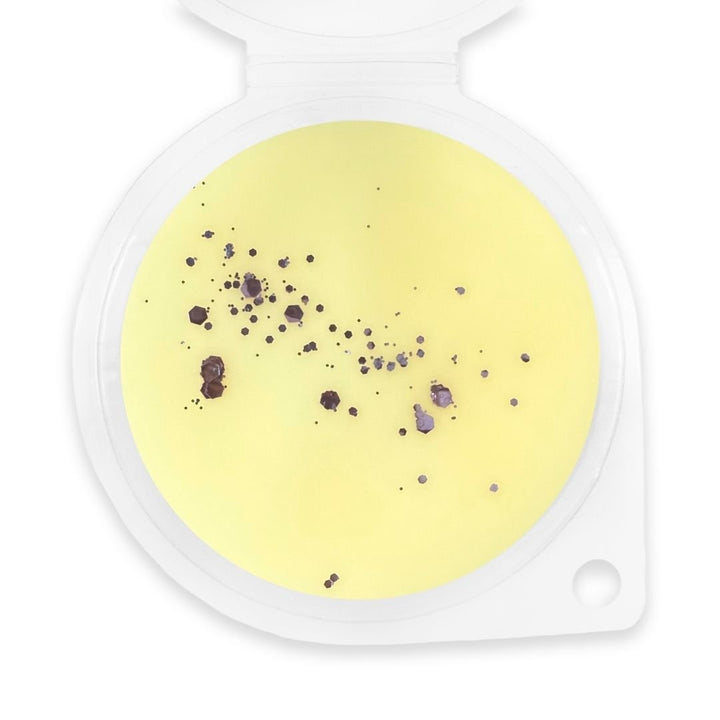 Sweet Nostalgia Wax Melt - Sassy Scents