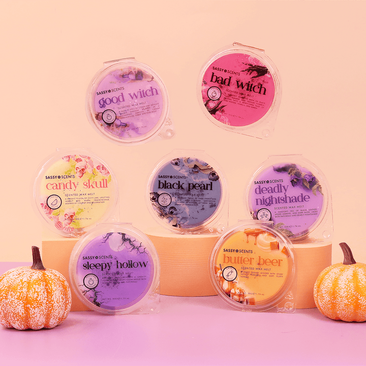 Warm Cashmere Wax Melt - Sassy Scents