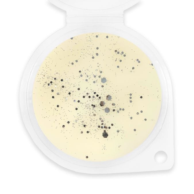 White Linen Wax Melt - Sassy Scents